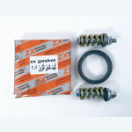 کیت کامل اگزوز 206 ZX