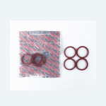 اورینگ منیفولد 206 تیپ 2