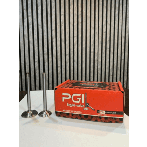 سوپاپ ۴۰۵ هندی PGI
